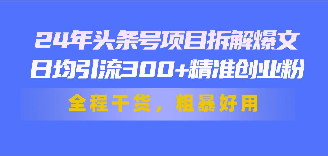 24年头条号项目拆解爆文，日均引流300+精准创业粉，全程干货，粗暴好用-情久项目网