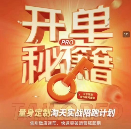 淘宝开单秘籍PRO，量身定制淘天实战陪跑计划，告别做店迷茫、快速突破运营瓶颈期(更新)-情久项目网