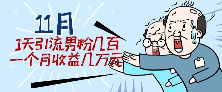 11月最新每天引流男粉300+一个月收益几万元-情久项目网