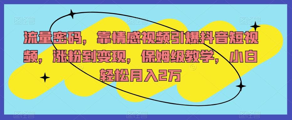 流量密码，靠情感视频引爆抖音短视频，涨粉到变现，保姆级教学，小白轻松月入2万【揭秘】-情久项目网