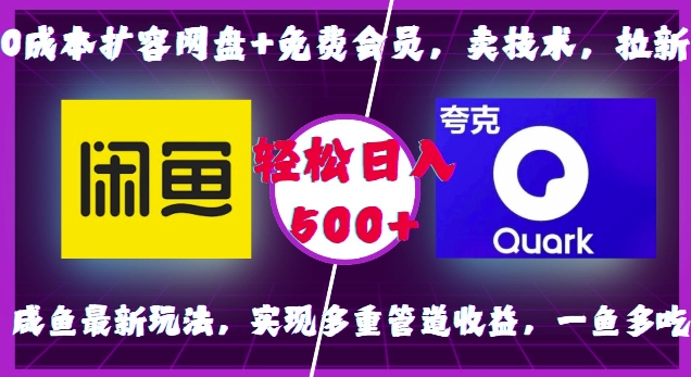 0成本扩容网盘+免费会员，卖技术，拉新，咸鱼最新玩法，实现多重管道收益，一鱼多吃，轻松日入500+-情久项目网