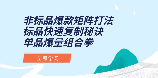 非标品爆款矩阵打法，标品快速复制秘诀，单品爆量组合拳-情久项目网