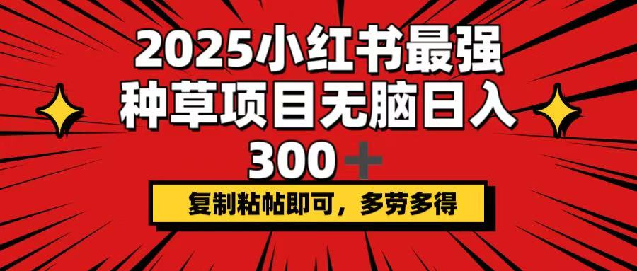2025小红书最强种草项目，无脑日入300+，复制粘帖即可，多劳多得-情久项目网