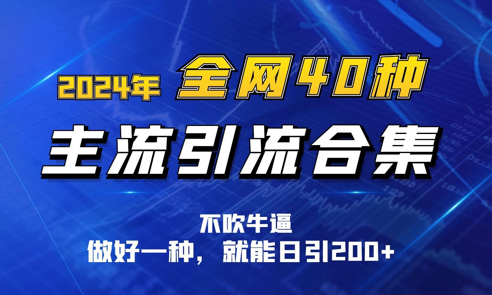 2024年全网40种暴力引流合计，做好一样就能日引100+-情久项目网