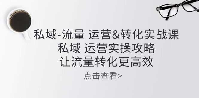 私域-流量 运营&转化实操课：私域 运营实操攻略 让流量转化更高效-情久项目网