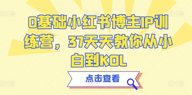 0基础小红书博主IP训练营，37天天教你从小白到KOL-情久项目网
