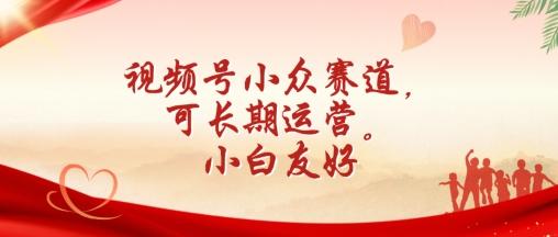 视频号小众赛道，可长期运营，小白友好【揭秘】-情久项目网