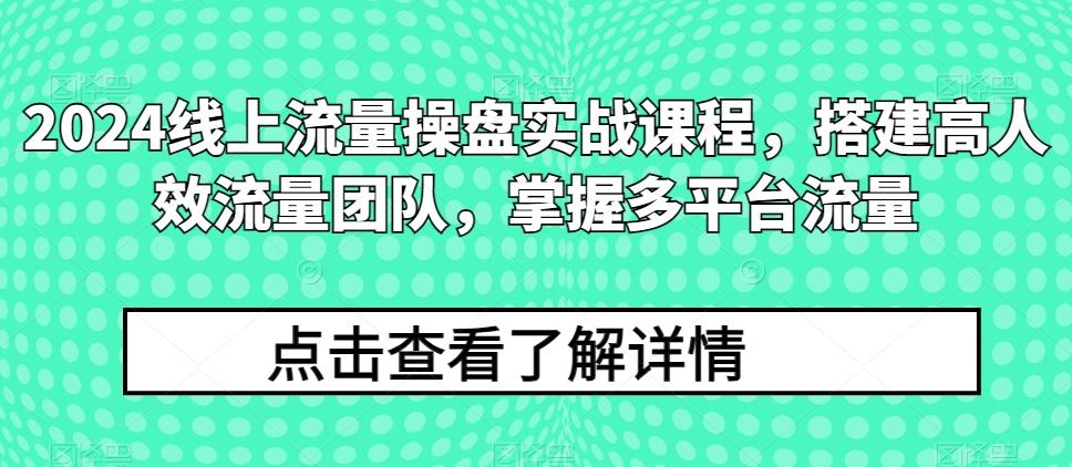 2024线上流量操盘实战课程，搭建高人效流量团队，掌握多平台流量-情久项目网