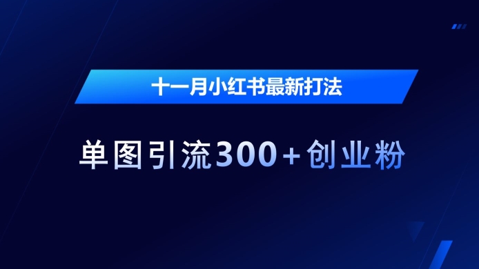 十一月小红书最新打法,单图引流300+创业粉【揭秘】