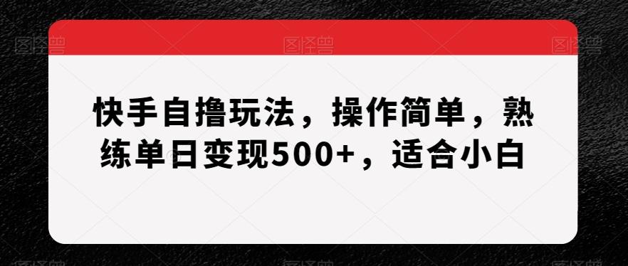 快手自撸玩法，操作简单，熟练单日变现500+，适合小白【揭秘】-情久项目网
