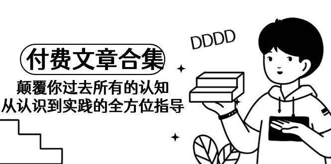 (9646期)《某公众号付费文章合集》颠覆你过去所有的认知 从认识到实践的全方位指导-情久项目网