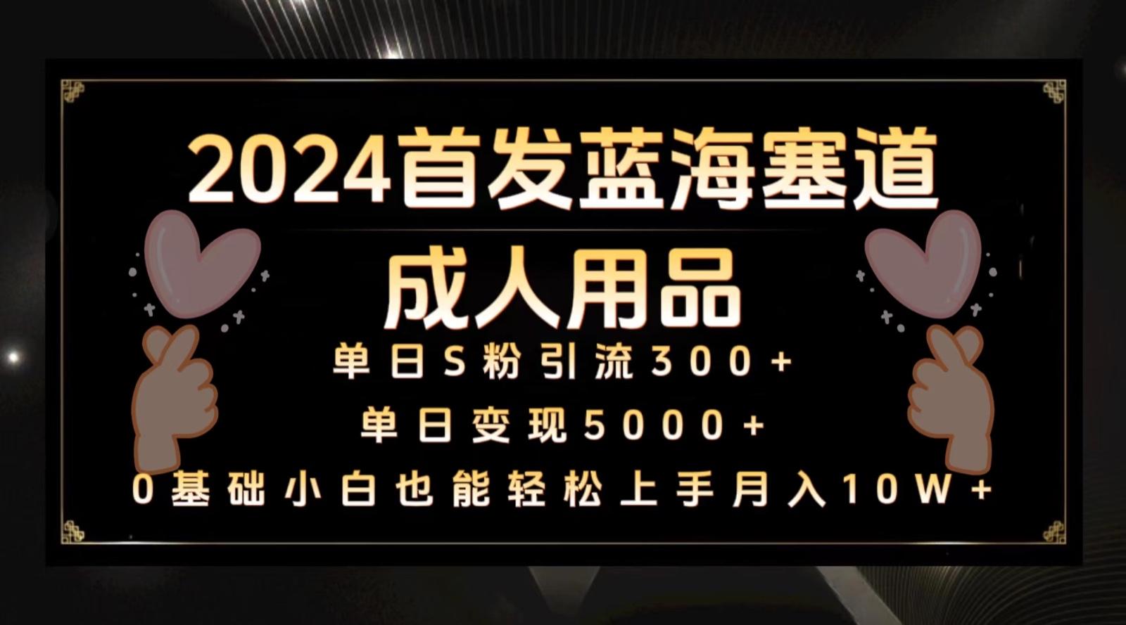 2024首发蓝海塞道成人用品，月入10W+保姆教程-情久项目网
