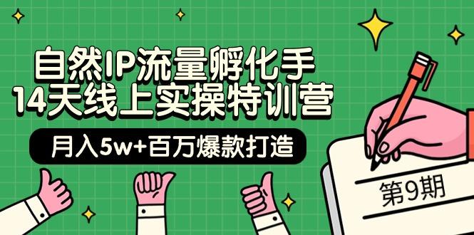 (9881期)自然IP流量孵化手 14天线上实操特训营【第9期】月入5w+百万爆款打造 (74节)-情久项目网