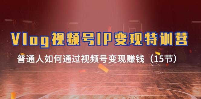 Vlog 视频号IP变现特训营，普通人如何通过视频号变现赚钱(15节-情久项目网