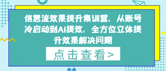 信息流效果提升集训营，从账号冷启动到AI提效，全方位立体提升效果解决问题-情久项目网