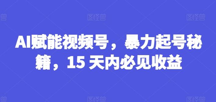 AI赋能视频号，暴力起号秘籍，15 天内必见收益【揭秘】-情久项目网