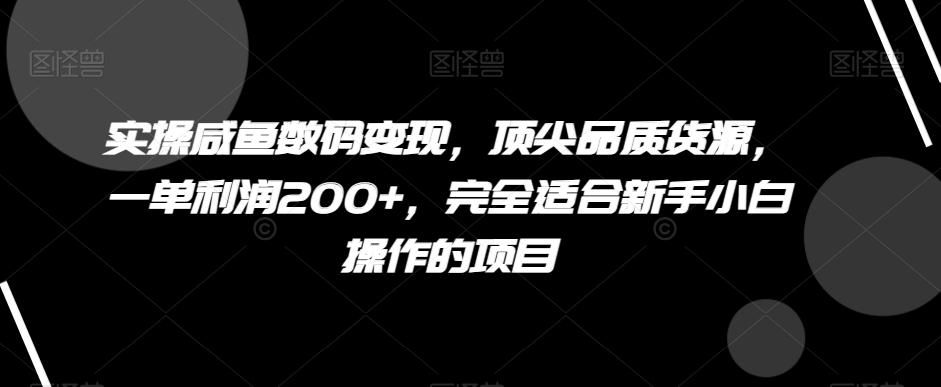 实操咸鱼数码变现，顶尖品质货源，一单利润200+，完全适合新手小白操作的项目【揭秘】-情久项目网