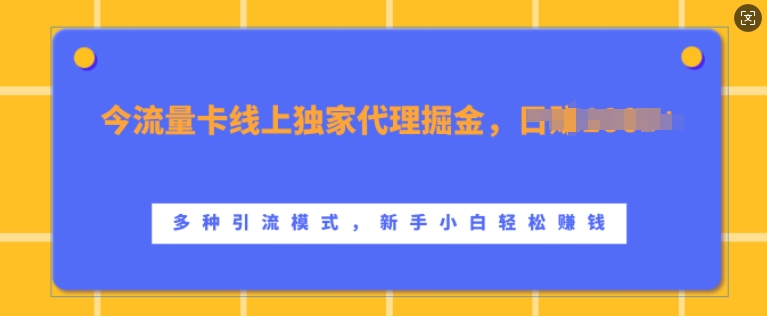 流量卡线上独家代理掘金，日入1k+ ，多种引流模式，新手小白轻松上手【揭秘】-情久项目网