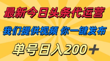 最新今日头条代运营，我们提供视频，你一键发布，单号日入200+【揭秘】-情久项目网