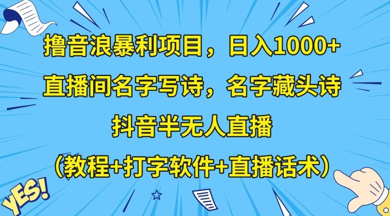 撸音浪暴利项目，日入1000+，直播间名字写诗，名字藏头诗，抖音半无人直播（教程+打字软件+直播话术）【揭秘】-情久项目网
