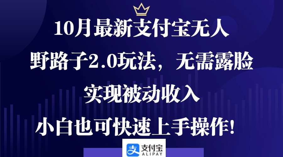 10月最新支付宝无人野路子2.0玩法，无需露脸，实现被动收入，小白也可...-情久项目网