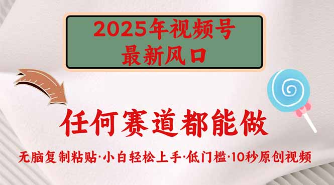 2025年视频号新风口，低门槛只需要无脑执行-情久项目网