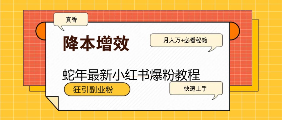 蛇年最新小红书爆粉教程，狂引副业粉，月入万+必看-情久项目网