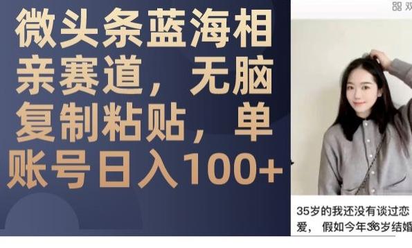 微头条蓝海相亲赛道，无脑复制粘贴，单账号日入100+-情久项目网