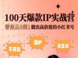小红书100天爆款IP实战营，带你从0到1做出高价值的小红书号-情久项目网