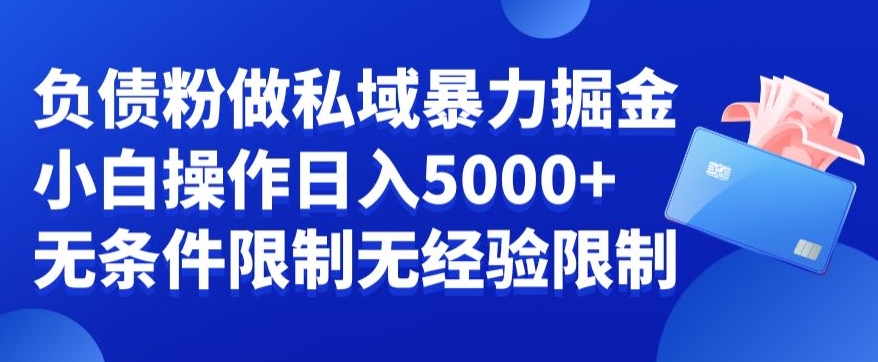 负债粉私域暴力掘金，小白操作入5000，无经验限制，无条件限制【揭秘】-情久项目网