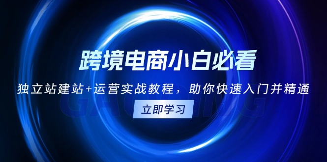 跨境电商小白必看！独立站建站+运营实战教程，助你快速入门并精通-情久项目网