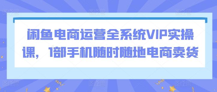 闲鱼电商运营全系统VIP实操课，1部手机随时随地电商卖货-情久项目网