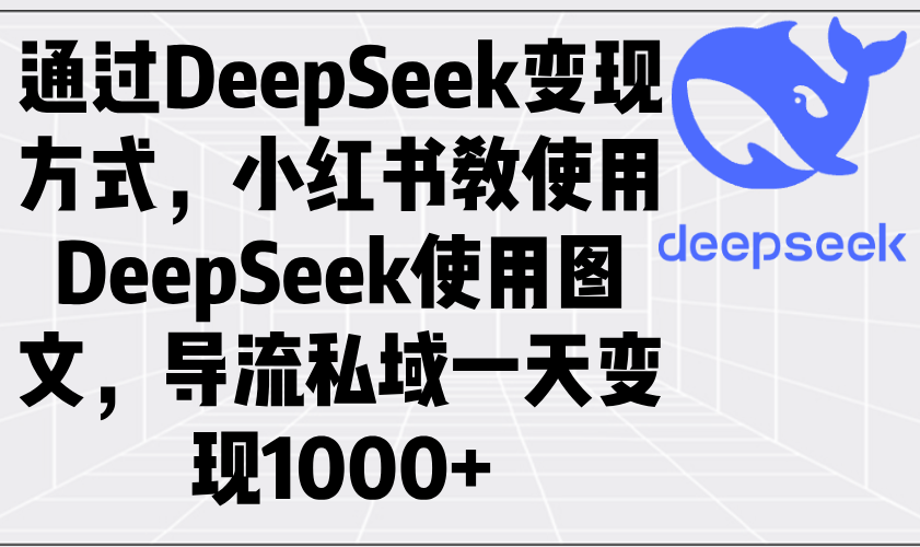 通过DeepSeek变现方式，小红书教使用DeepSeek图文，导流私域一天变现1000+-情久项目网