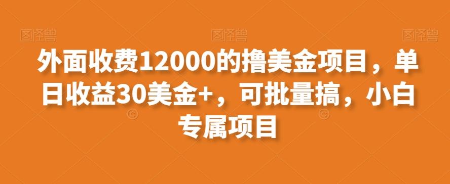 外面收费12000的撸美金项目，单日收益30美金+，可批量搞，小白专属项目-情久项目网