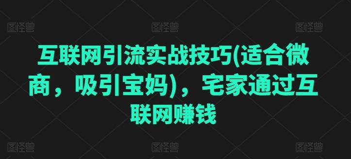 互联网引流实战技巧(适合微商，吸引宝妈)，宅家通过互联网赚钱-情久项目网