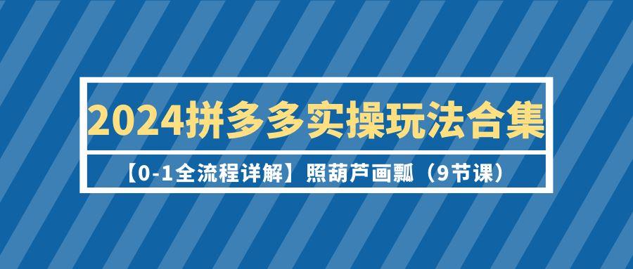 (9559期)2024拼多多实操玩法合集【0-1全流程详解】照葫芦画瓢(9节课)-情久项目网