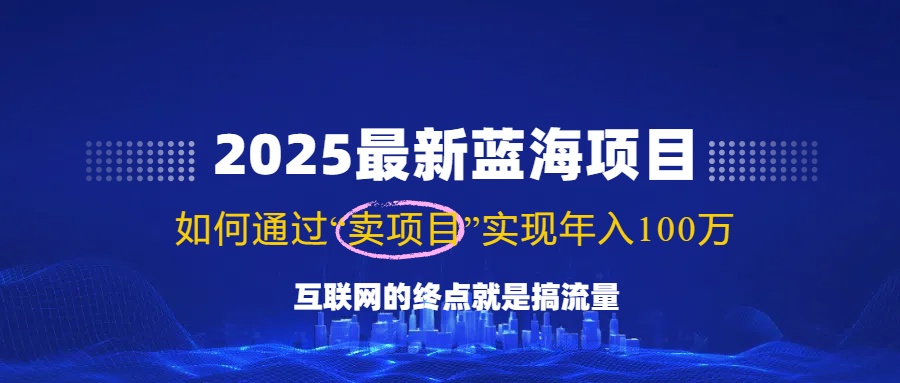 2025最新蓝海项目，零门槛轻松复制，月入10万+，新手也能操作！-情久项目网