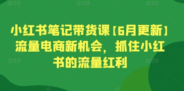 小红书笔记带货课【6月更新】流量电商新机会，抓住小红书的流量红利-情久项目网