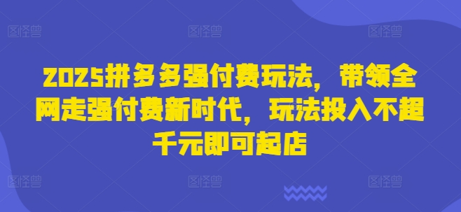 2025拼多多强付费玩法，带领全网走强付费新时代，玩法投入不超千元即可起店-情久项目网