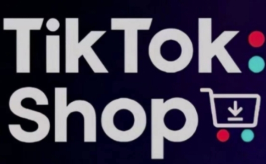 TikTokShop跨境电商0-1实战，手把手教你低成本启动海外市场(更新)-情久项目网