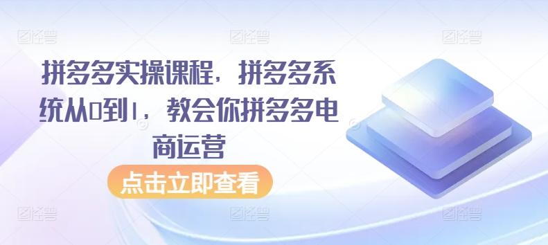 拼多多实操课程，拼多多系统从0到1，教会你拼多多电商运营-情久项目网