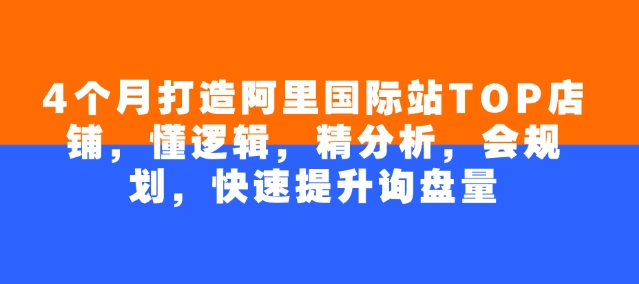 4个月打造阿里国际站TOP店铺，懂逻辑，精分析，会规划，快速提升询盘量-情久项目网