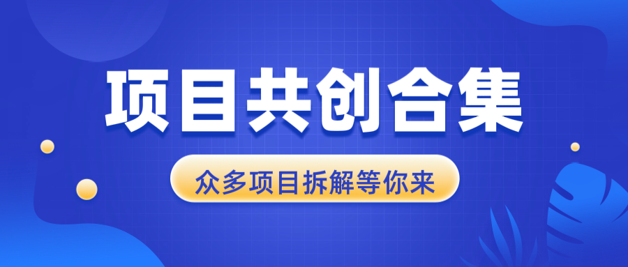 项目共创合集，从0-1全过程拆解，让你迅速找到适合自已的项目-情久项目网
