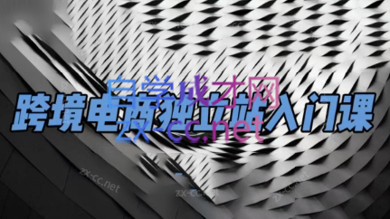 团长·跨境电商独立站入门课(2小时精华)-情久项目网