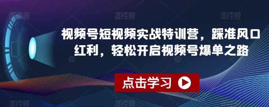 视频号短视频实战特训营，踩准风口红利，轻松开启视频号爆单之路-情久项目网