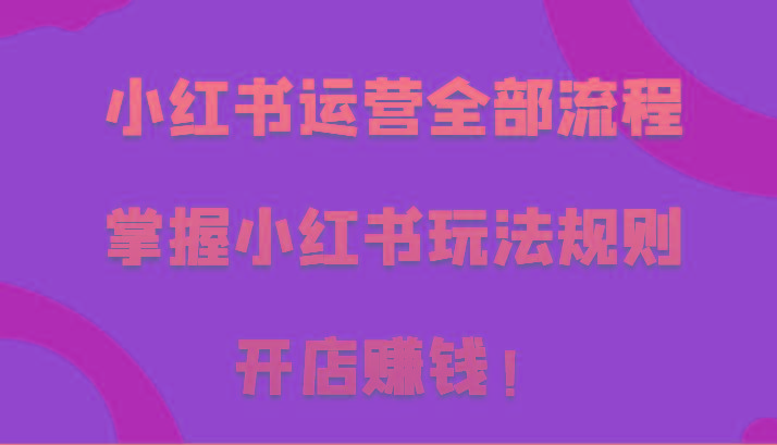 小红书运营全部流程，掌握小红书玩法规则，开店赚钱！-情久项目网
