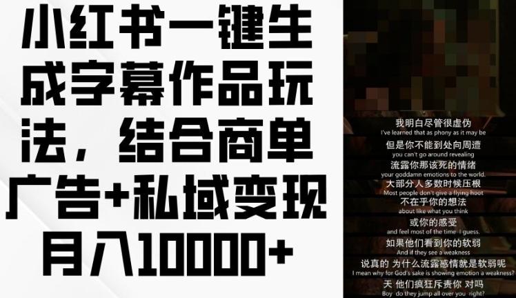 小红书一键生成字幕作品玩法，结合商单广告+私域变现月入1w+【揭秘】-情久项目网