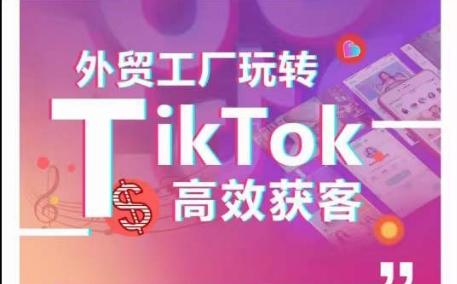 外贸工厂玩转TikTok高效获客，多种引流方式与账号定位技巧，拆解爆款短视频打造成功案例-情久项目网