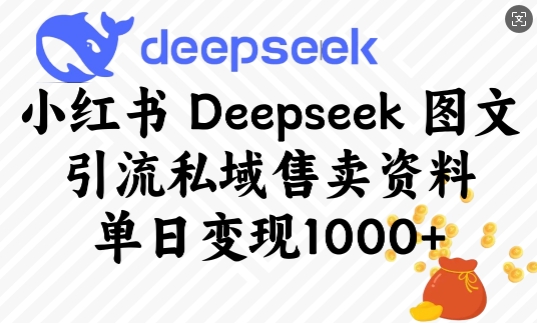 小红书Deepseek图文引流私域售卖资料，单日变现多张-情久项目网