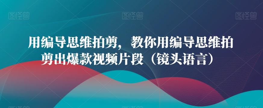 用编导思维拍剪，教你用编导思维拍剪出爆款视频片段(镜头语言)-情久项目网